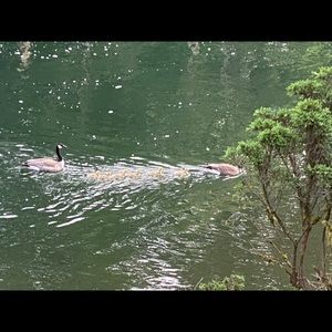 Meet your Posher, Kristin